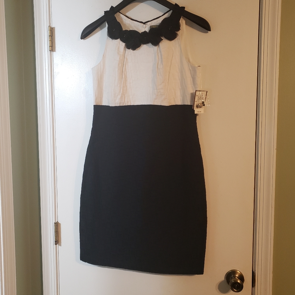 Taylor dress